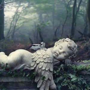 Meet your Posher, Patti